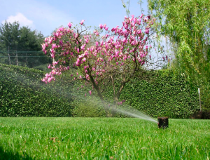 Impianti di irrigazione per giardini, verde e terrazzi Fratelli Bonoldi