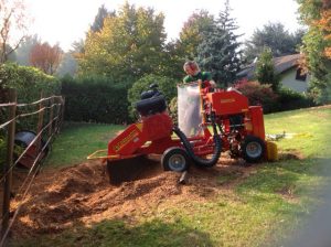 Fresaceppi e noleggio fresaceppi Fratelli Bonoldi Giardini