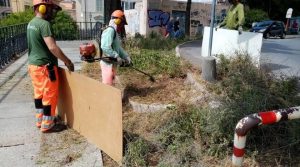 Contenimento delle infestanti