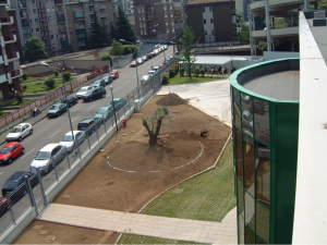 Manutenzione verde pubblico e parchi