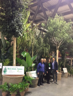 I nostri servizi di giardinaggio