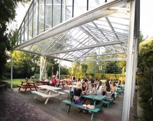 Roma Camping In Town