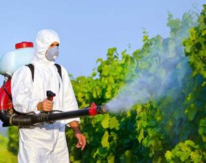 Disinfestazione, derattizzazione