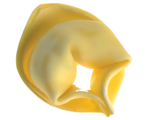 Pasta Fresca All’uovo Ripiena